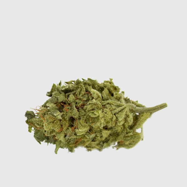 Super Lemon Haze – Image 2