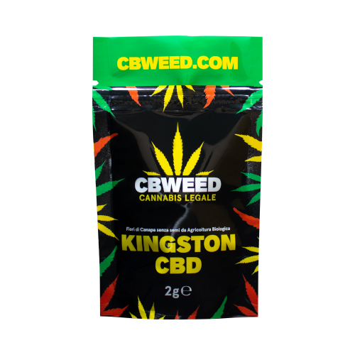 Kingston - 2g